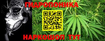 МДМА Можга