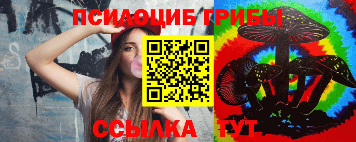 Галлюциногенные грибы Psilocybine cubensis  купить наркоту  Вышний Волочёк  Вход с VPN 