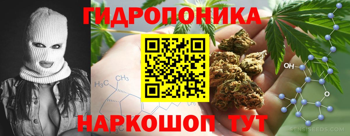 Бошки Шишки White Widow Вышний Волочёк